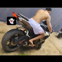 Guest_Luis296161