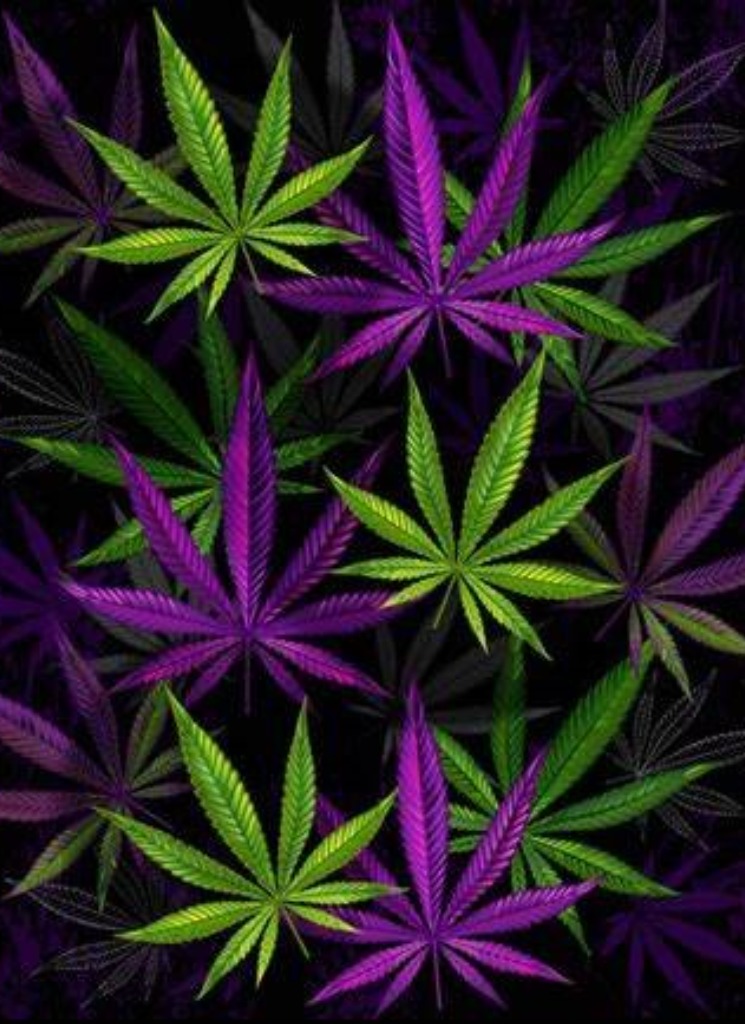 XxTwitchxX