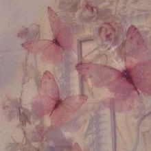 Guest_Sofi219258