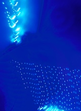 Guest_oxby1