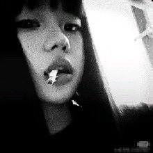Guest_Ximena631