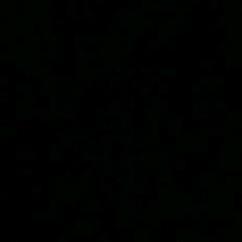 Guest_aseel166968