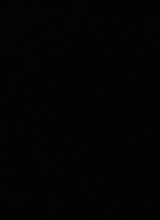 Guest_kdbanks11