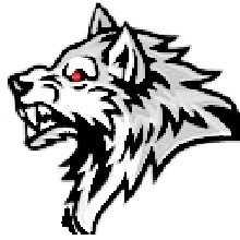 Guest_WolvenStorm