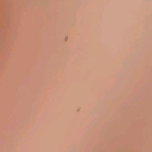 Guest_romane39
