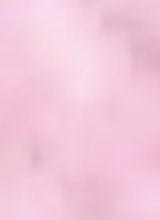 Guest_Veronica527944