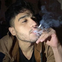 avpic