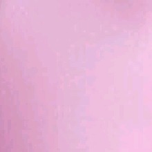 Guest_Sheisel