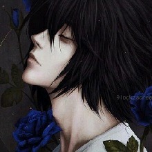 Guest_Drake738319