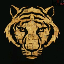 Guest_Animal11