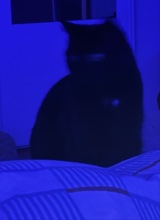 Guest_emmglmn