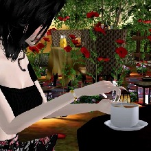 Guest_Elena87966
