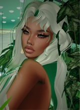 Guest_Mid0riya