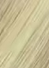 Guest_bunnybop4