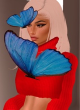 Guest_Loren304829