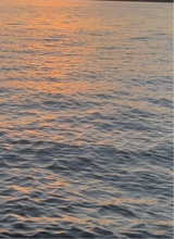Guest_stellaaa27