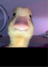 Guest_itsstephasf