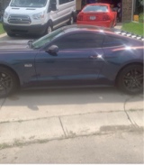 Guest_CjReed2
