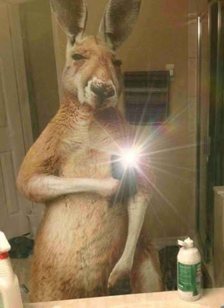 Th3Bl4ckCat