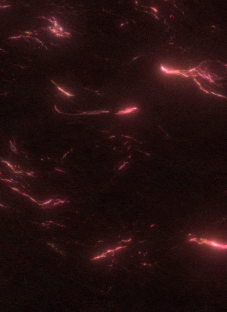 NoxAeterna