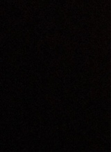 Guest_Mchenny2