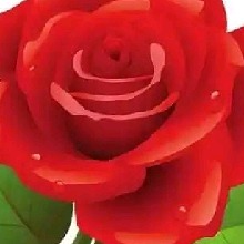Guest_Adriana456405