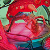 Guest_Enigma240269