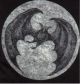 symmii