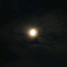 Guest_InOurDreammm
