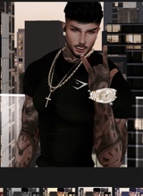 Guest_Favelado873159