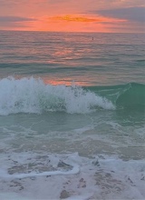 Guest_ella523784