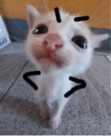 Guest_imscxred