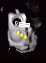 Guest_Tay162530