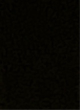 Guest_Avonie1