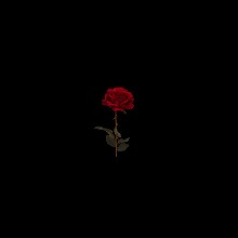 Guest_Pancho7u7