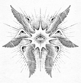 criscrosaplesos