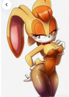 Guest_Daisy163856
