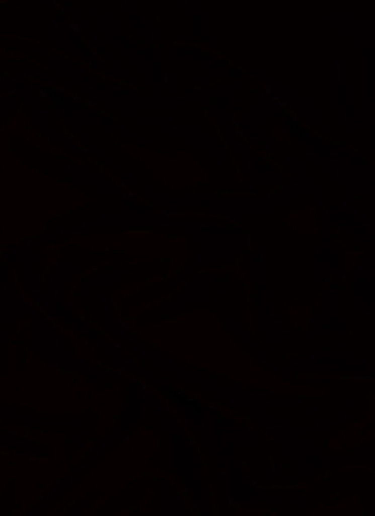 Guest_Rexlessjazz