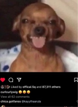 Guest_haitianqueen41