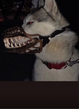 Guest_Jayywxx