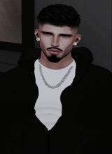 avatar-billede