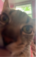 Guest_Neevil