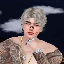 immagine avatar