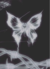 Guest_Aussiegirl7