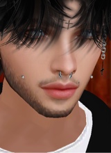 TheWanted24