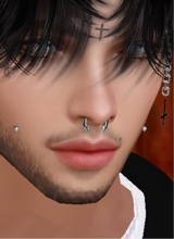 TheWanted24