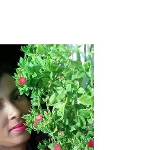 Guest_Kaylane422070