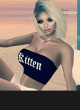 MidnightKitten