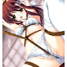 Guest_banorchid5938