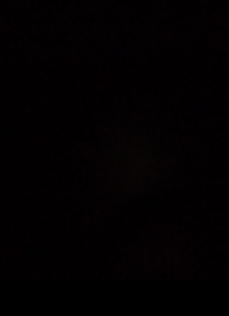 Guest_dtnanais12